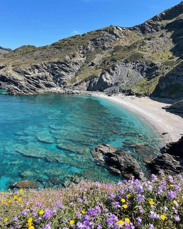 B&B Kasia Palmadula Dış mekan fotoğraf
